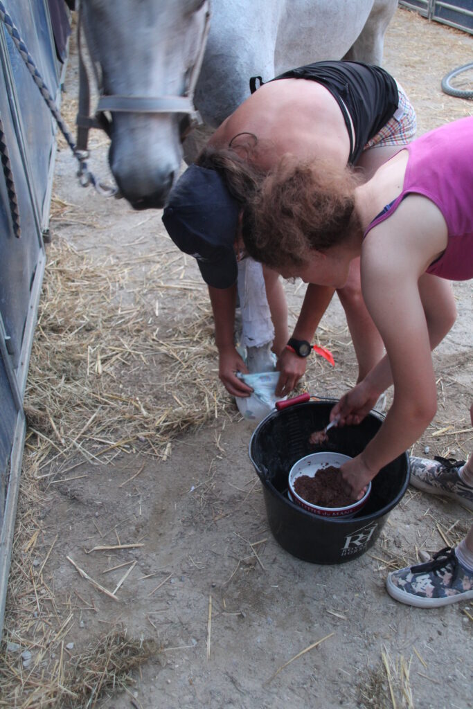soin des sabots des chevaux à la graine de lin
