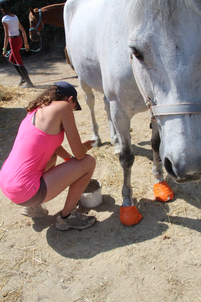 soin des sabots des chevaux à la graine de lin