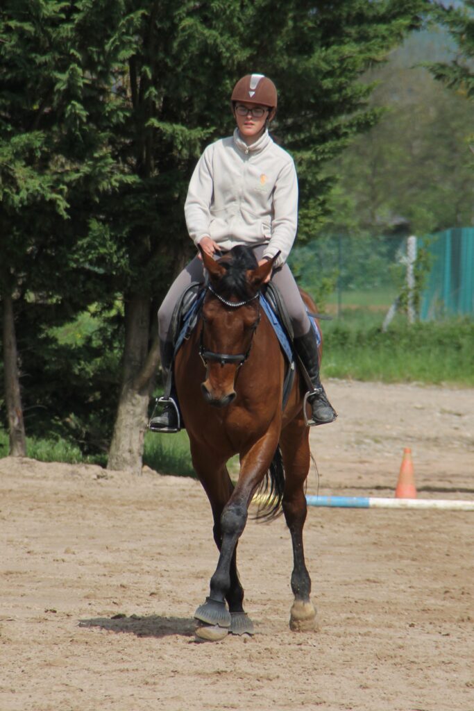 Débuter le CCE : travailler sa reprise de dressage