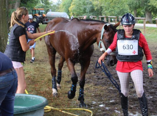 La récupération sportive du cheval en Concours complet international