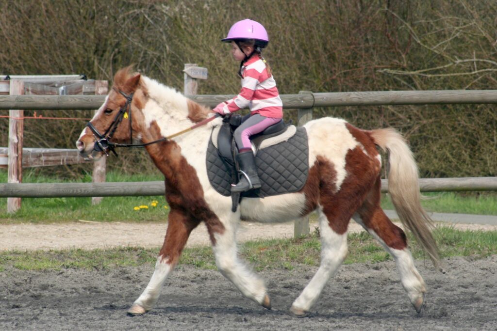 petite cavalière d'un cours baby poney , illustrant de plan de formation de la FFE
