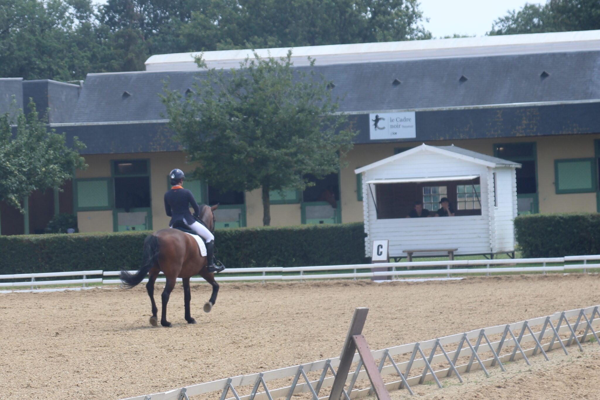 Dossier Pédagogique Bpjeps Equitation Page De Garde Réforme du BPJEPS équitation 2025 : changements importants