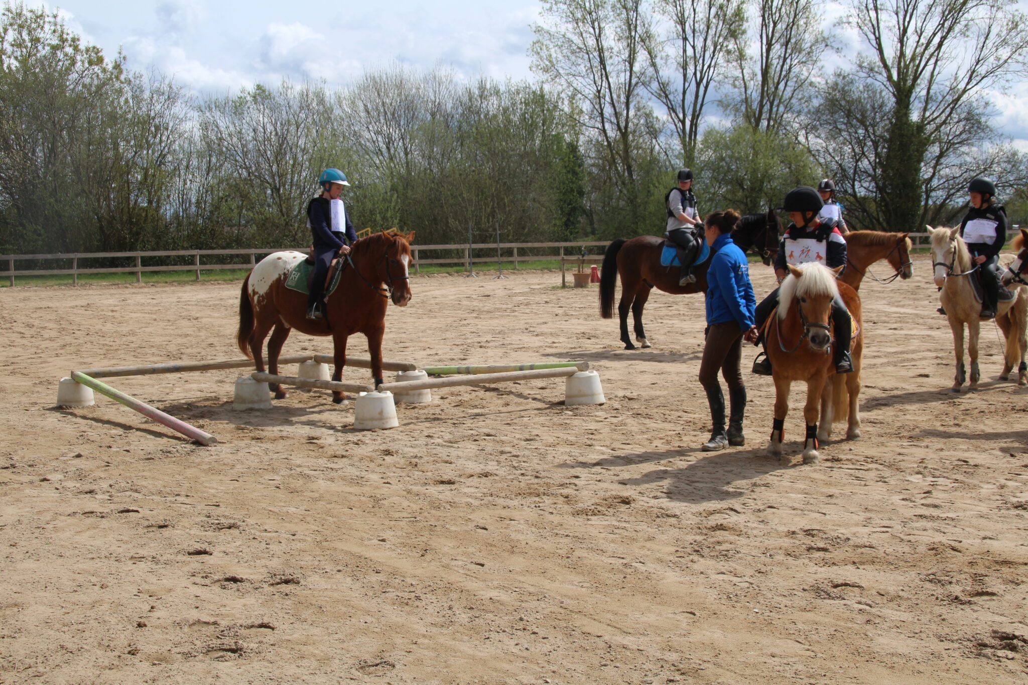 Dossier Pédagogique Bpjeps Equitation Page De Garde Réforme du BPJEPS équitation 2025 : changements importants