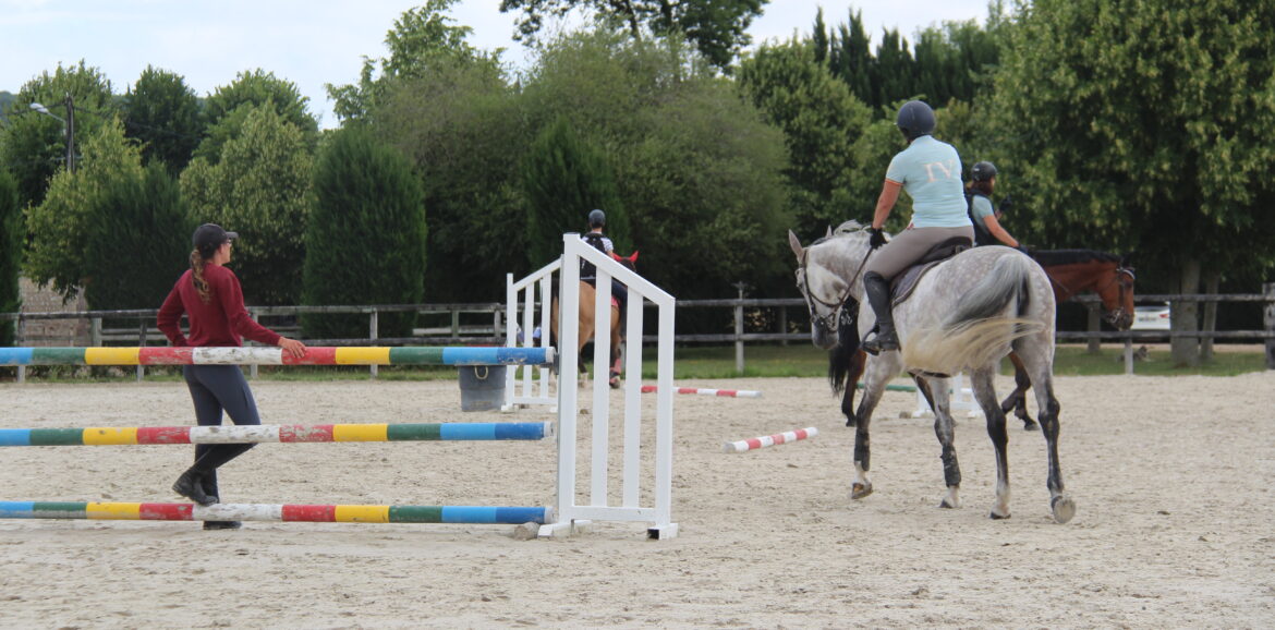 reprise de travail pour illustrer une Formation moniteur d'équitation