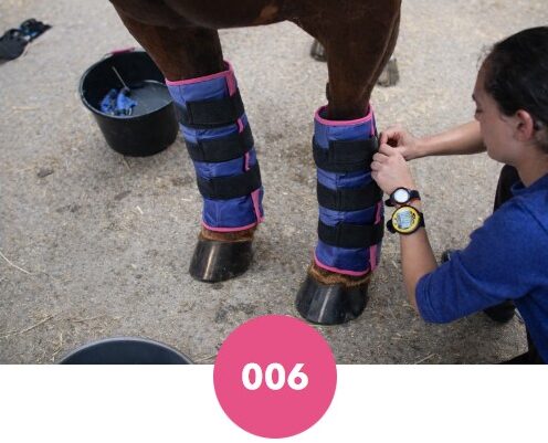 Guêtres de froid Magic Gel pour les membres des chevaux