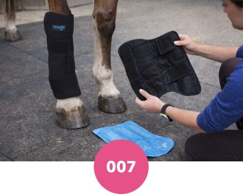 Guêtres de froid ou de chaud NewGo