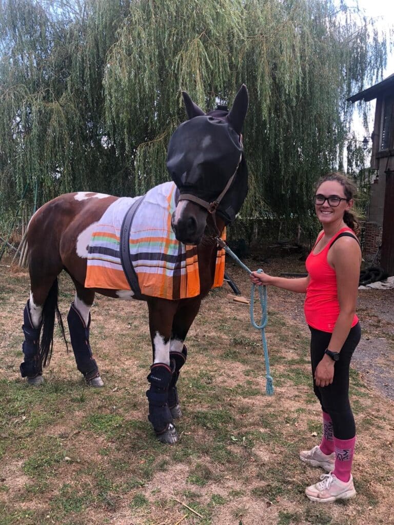 cheval avec serviette mouillée