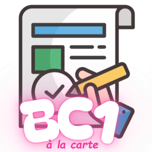Service de correction du dossier du BC1 du BPJEPS équitation