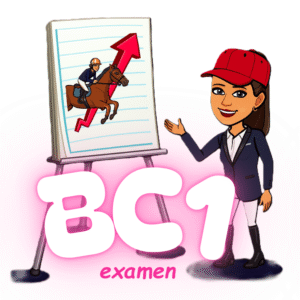 Formation complète au BC1 du BPJEPS équitation