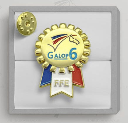 Galop 6 FFE
