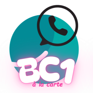 Service d'aide à la préparation du BC1 du BPJEPS équitation, par un groupe de discussion Whaller
