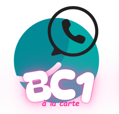 Service d'aide à la préparation du BC1 du BPJEPS équitation, par un groupe de discussion Whaller