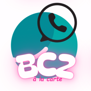 Service d'aide à la préparation du BC2 du BPJEPS équitation, par un groupe de discussion Whaller