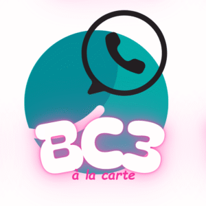 Service d'aide à la préparation du BC31 du BPJEPS équitation, par un groupe de discussion Whaller