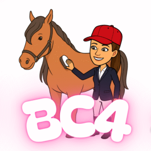 BC4 BPJEPS équitation