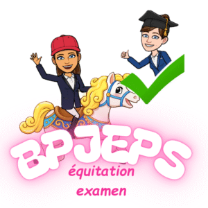 Accompagnement complet au BPJEPS équitation