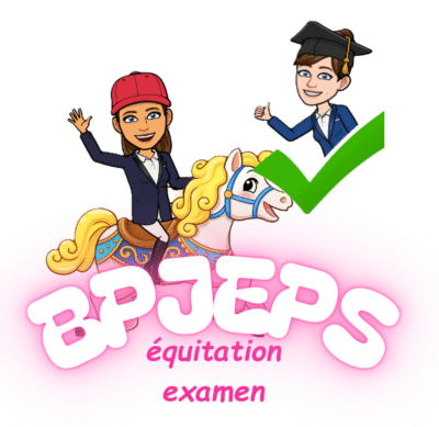 Accompagnement complet au BPJEPS équitation