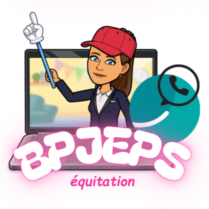 Service d'aide à la préparation du BC2 du BPJEPS équitation, par des webinaires et des groupes de discussion Whaller