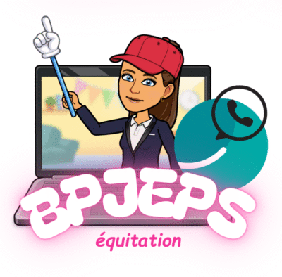 Service d'aide à la préparation du BC2 du BPJEPS équitation, par des webinaires et des groupes de discussion Whaller