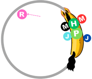 Les aides de l'incurvation