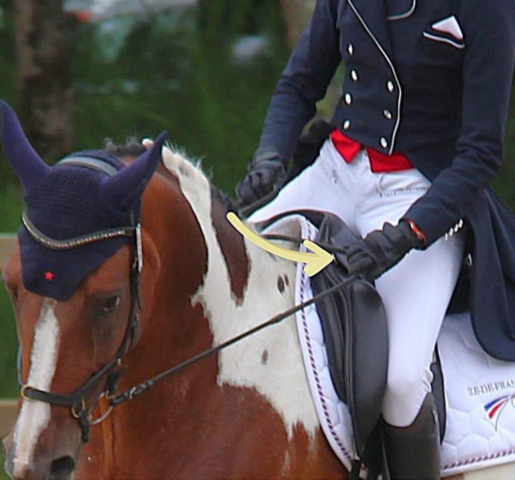 La position des mains dans l'incurvation du cheval