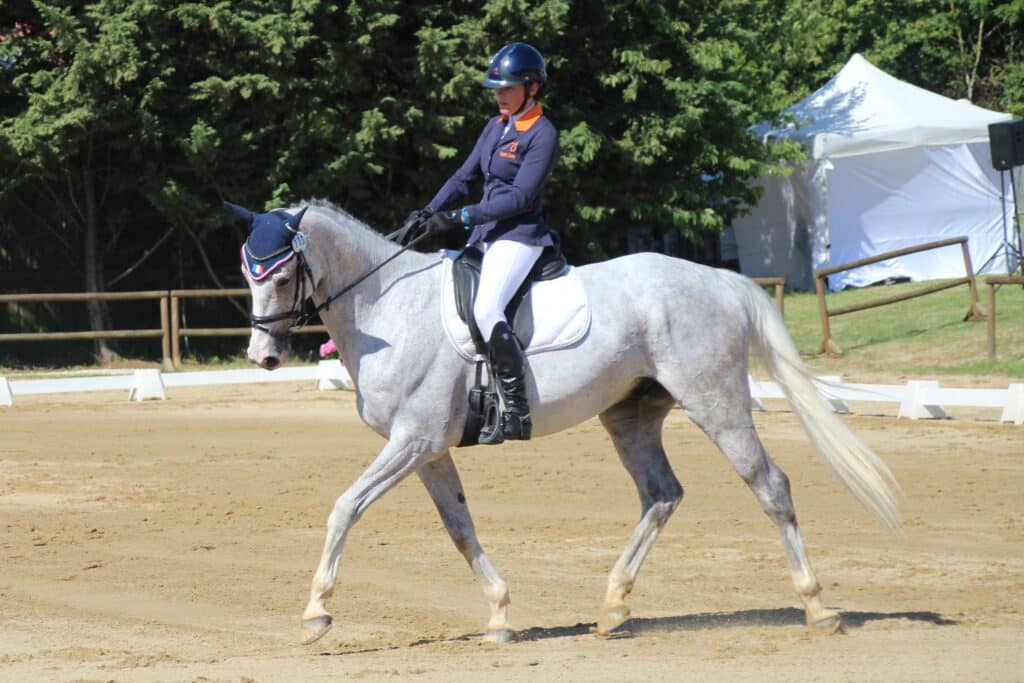 Incurvation au trot vue de l'intérieur de la courbe