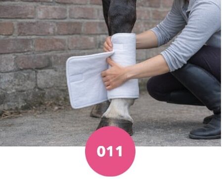 Flanelles épaisses Premier Equine