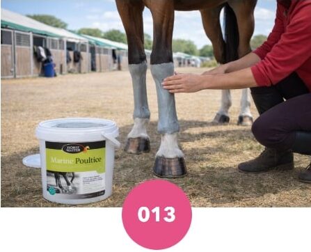 Argile marine Horse Master