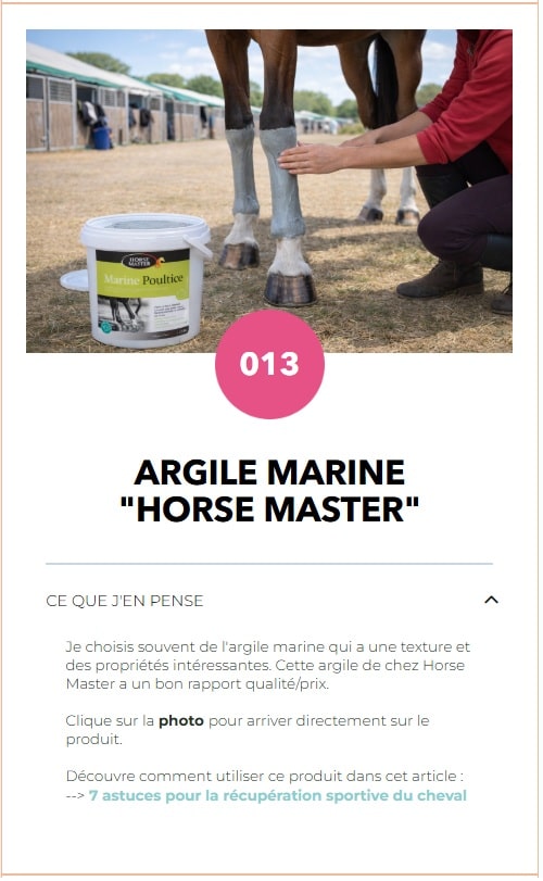 Argile marine Horse Master