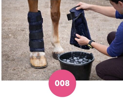 Guêtres de froid Premier Equine