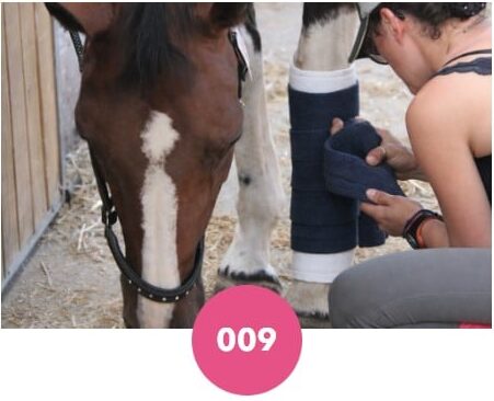 Bandes de repos Equiline