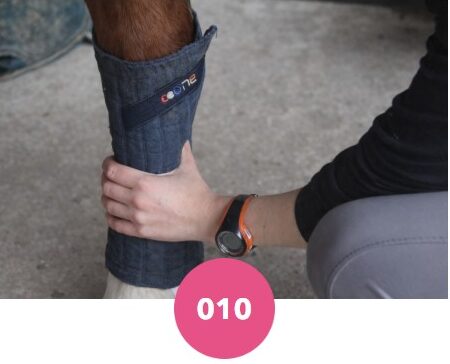 Flanelles fines Premier Equine. Crédit : Team LMs, ChatGPT