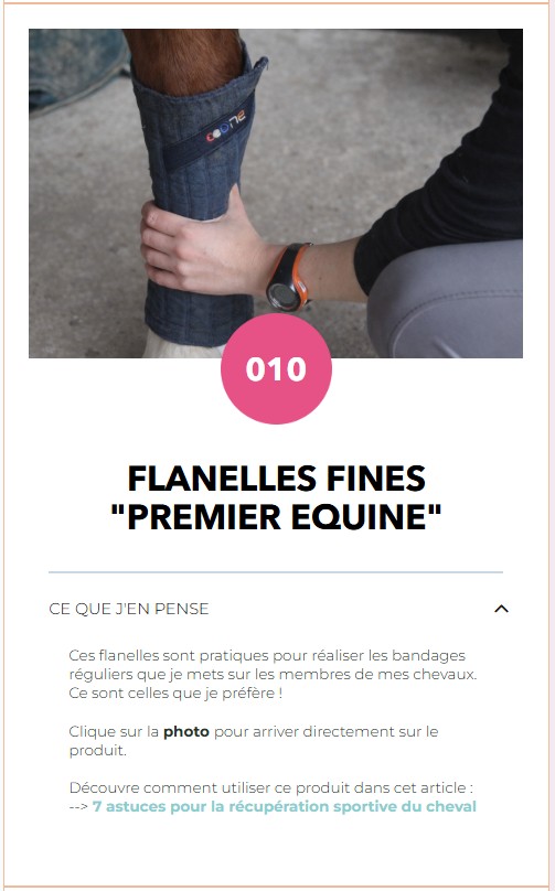 Flanelles fines Premier Equine. Crédit : Team LMs, ChatGPT