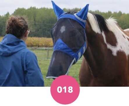 Masque intégral pour cheval Harisson Howard (anti-mouches, anti-UV et anti headshaking)