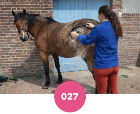 Brosse de toilettage Loopunk