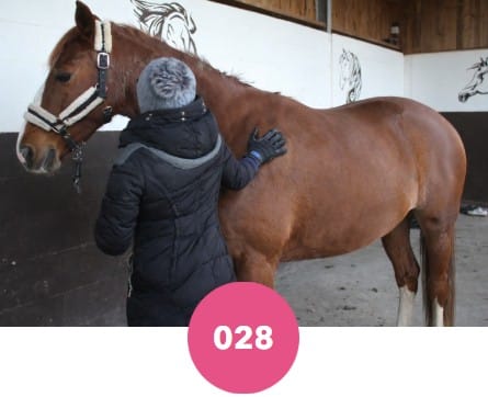 Gant de massage DHinkyoung