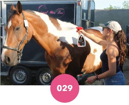 Répulsif insecte Leovet en flacon à pulvériser