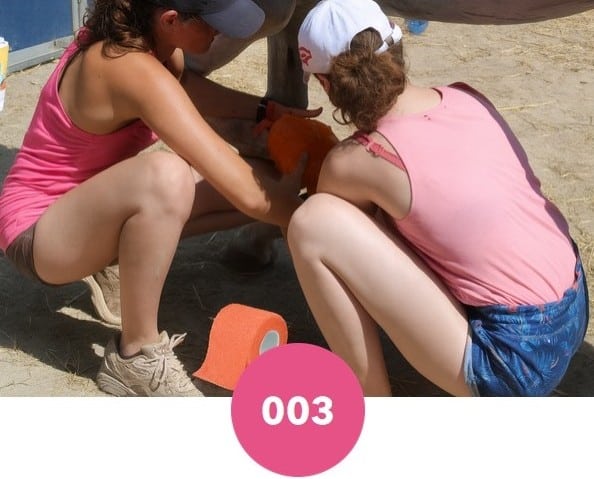 bande élastique cohésive pour pansement des sabots d'un cheval