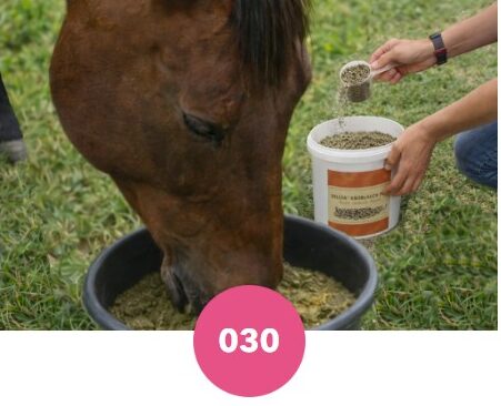 Répulsif insectes en granulés d'ail Delizia