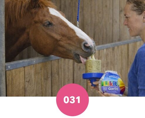 Friandise Likit à l'ail anti insectes