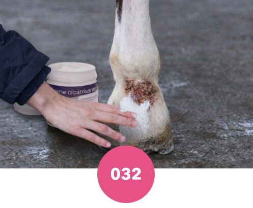 Crème cicatrisante Passional pour les plaies, crevasse, demite, gale de boue