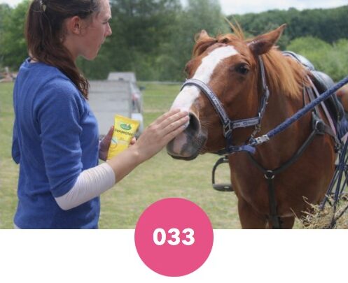 Crème solaire Ravene pour chevaux