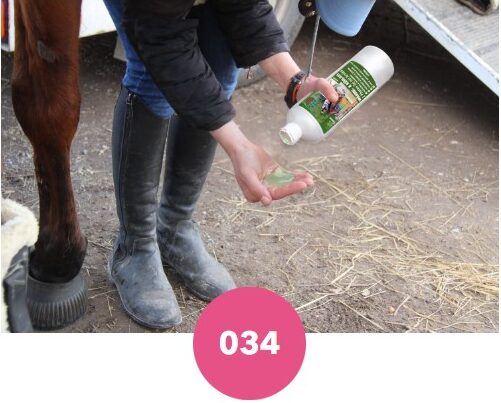 Arnicagel Emma pour chevaux