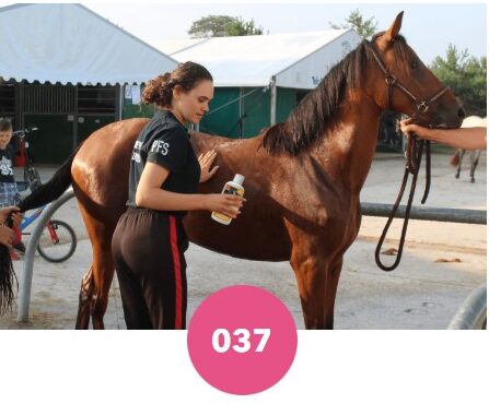 Shampoing anti-démangeaison Emma