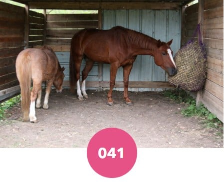 Filet à foin petites mailles Pferdelinis