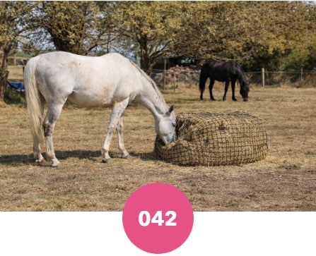 Filet de ballot Peeshon