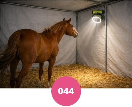 Ventilateur portable Ouwanch