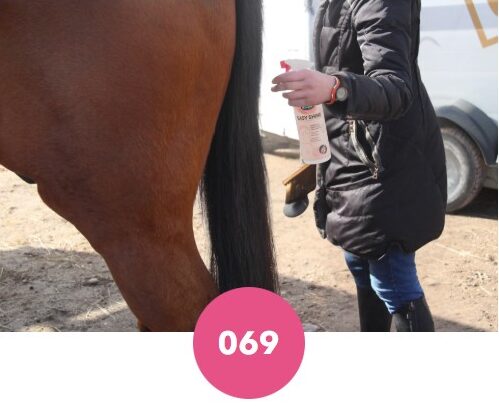 Démêlant lustrant Ravene