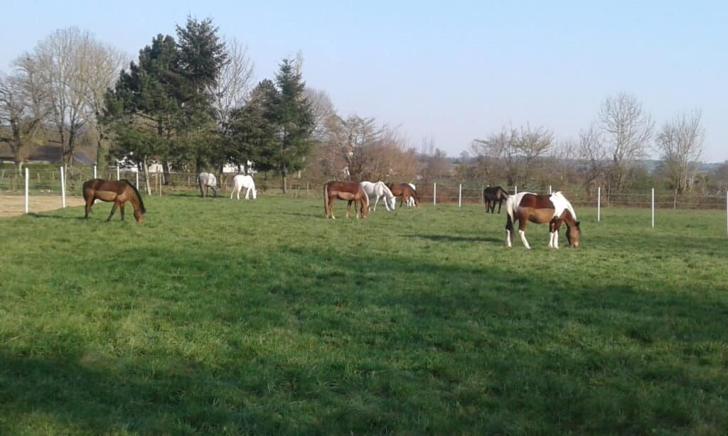 Gérer les pâtures avec des barrières mobiles