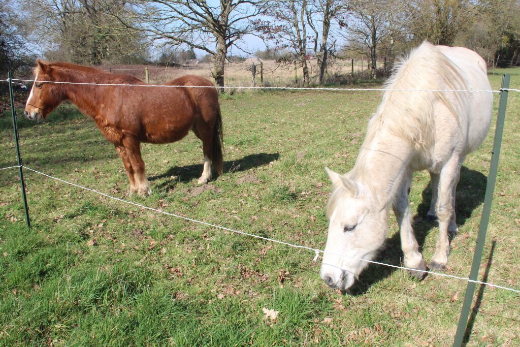 Gérer des poneys avec des barrières mobiles